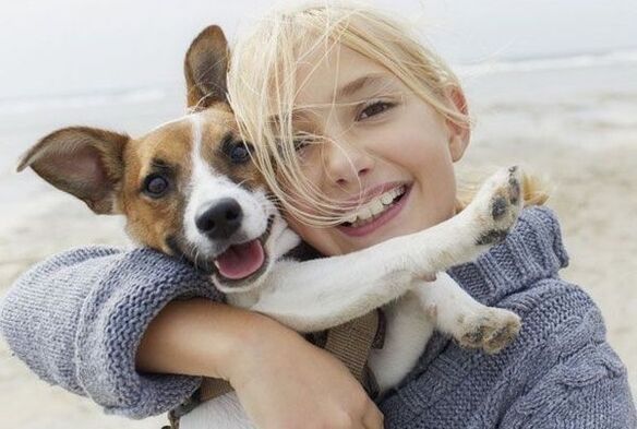 parasite infection of a dog