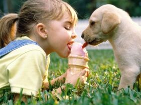 Girl eats ice cream with dog and becomes infected with parasites